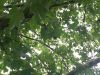 mini_2006-10-01_10-22-04.JPG