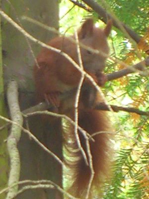normal_2006-10-04_12-14-50.JPG